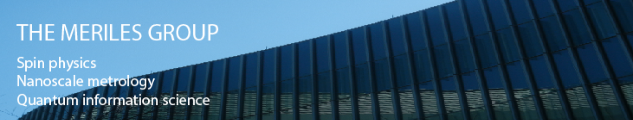 Meriles Group