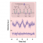 FaradayRotationInLiquids1