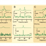 FaradayRotationInLiquids2